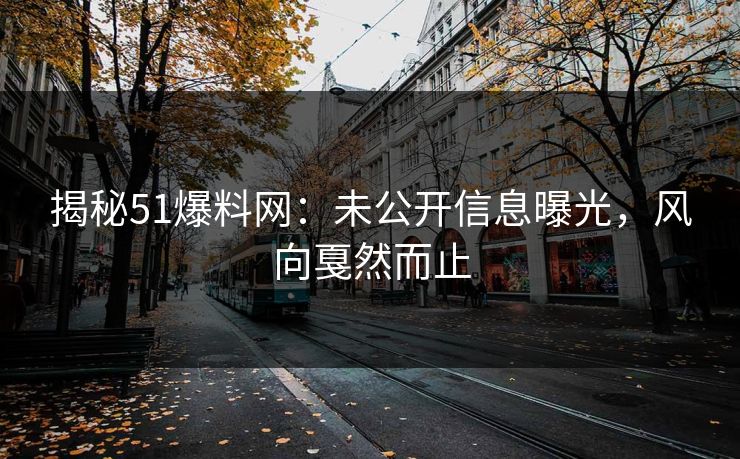 揭秘51爆料网：未公开信息曝光，风向戛然而止